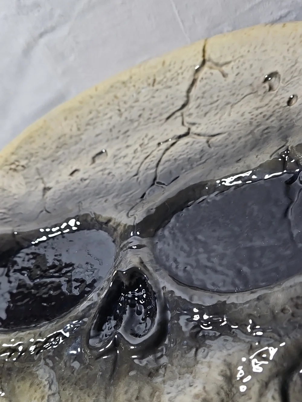 ceramic skull serving platter features a distressed, cracked gray finish